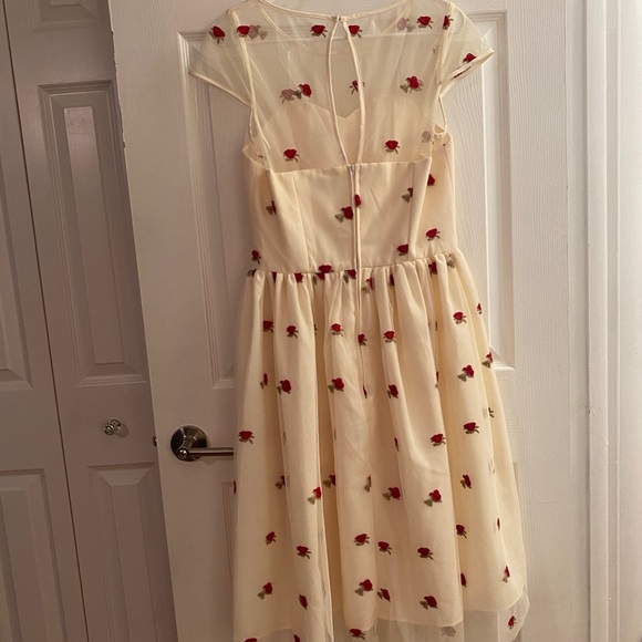 Magnolia Park Vintage Style Tulle Dress with embroidered roses - Picture 3 of 10